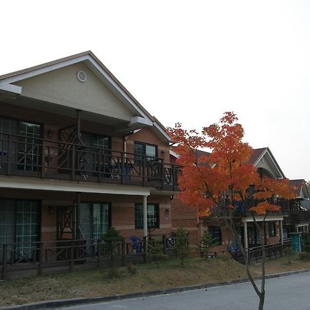 Hwangto Green Village Pension 용인 외부 사진