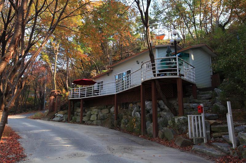 Hwangto Green Village Pension 용인 외부 사진