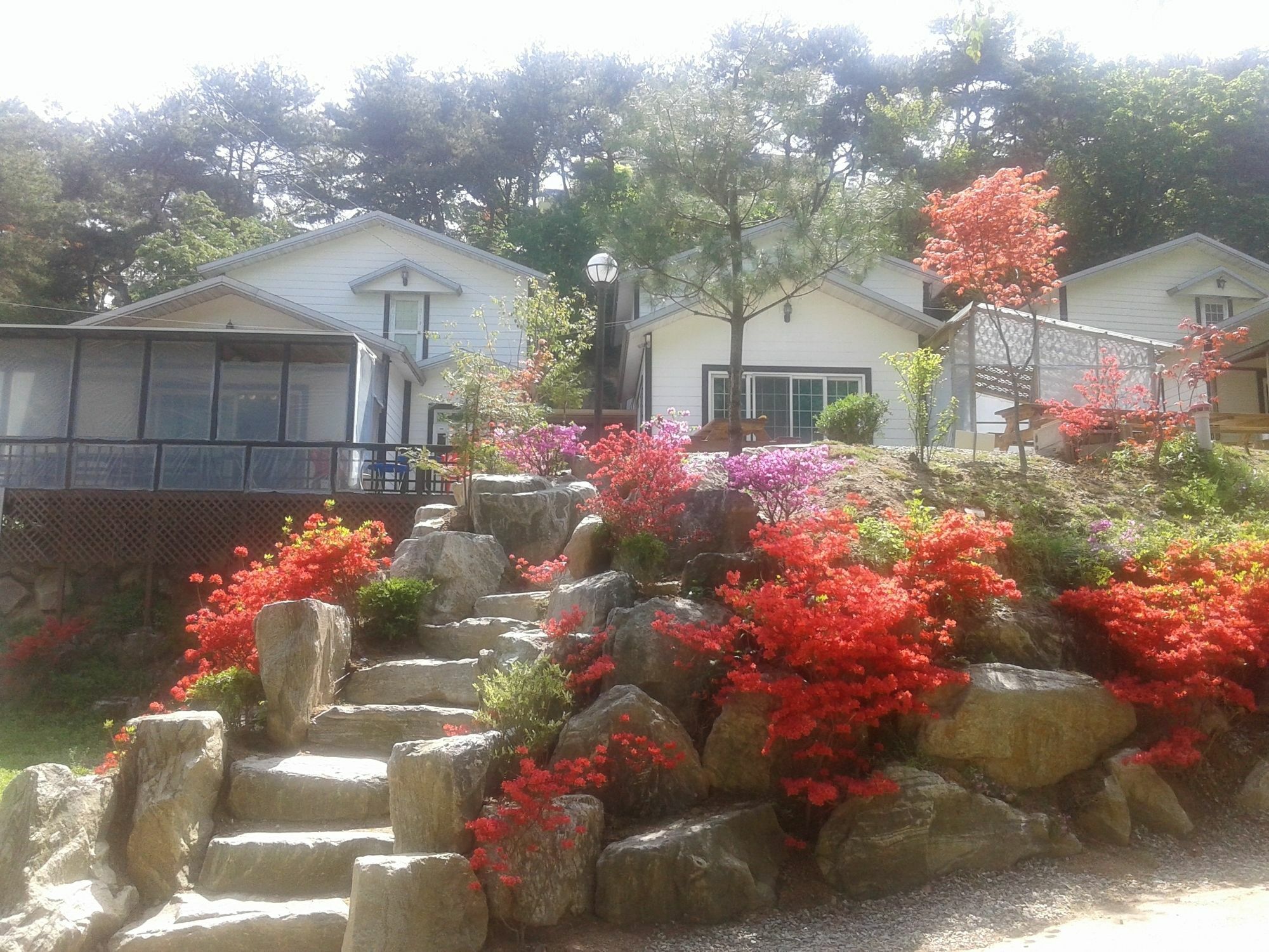 Hwangto Green Village Pension 용인 외부 사진